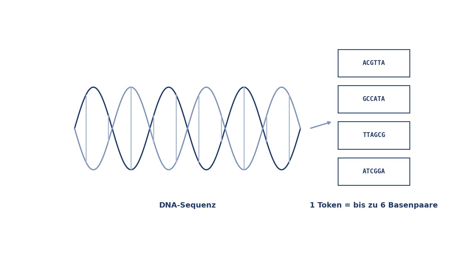 Schematische Darstellung eines DNA-Doppelstrangs, dessen Basenpaare in Token einer Chat-Oberfläche übergehen
