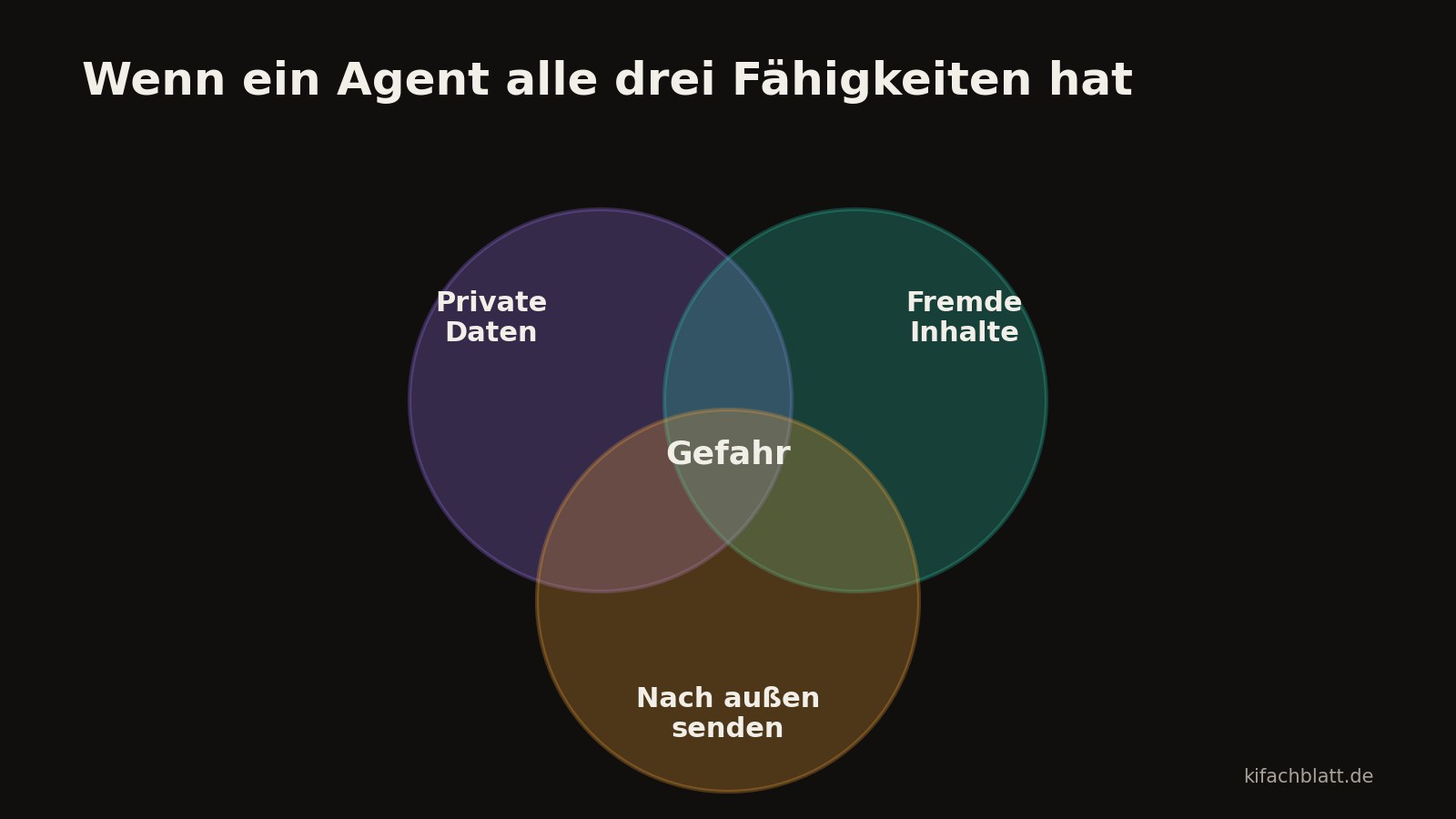 Drei sich überlappende Kreise mit den Beschriftungen Private Daten, Fremde Inhalte und Nach außen senden. In der Schnittmenge steht das Wort Gefahr.